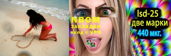 хмурый Алзамай