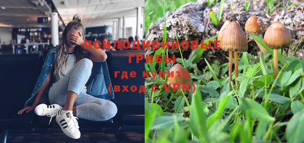 твердый Алексин
