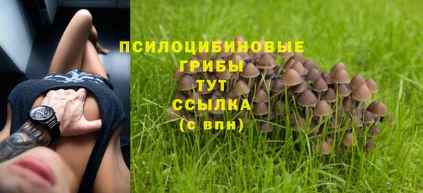 твердый Алексин