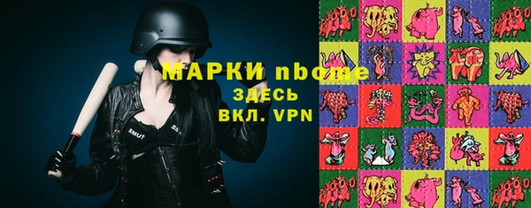 хмурый Рославль