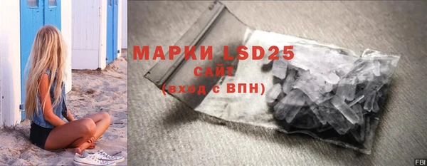 хмурый Алзамай